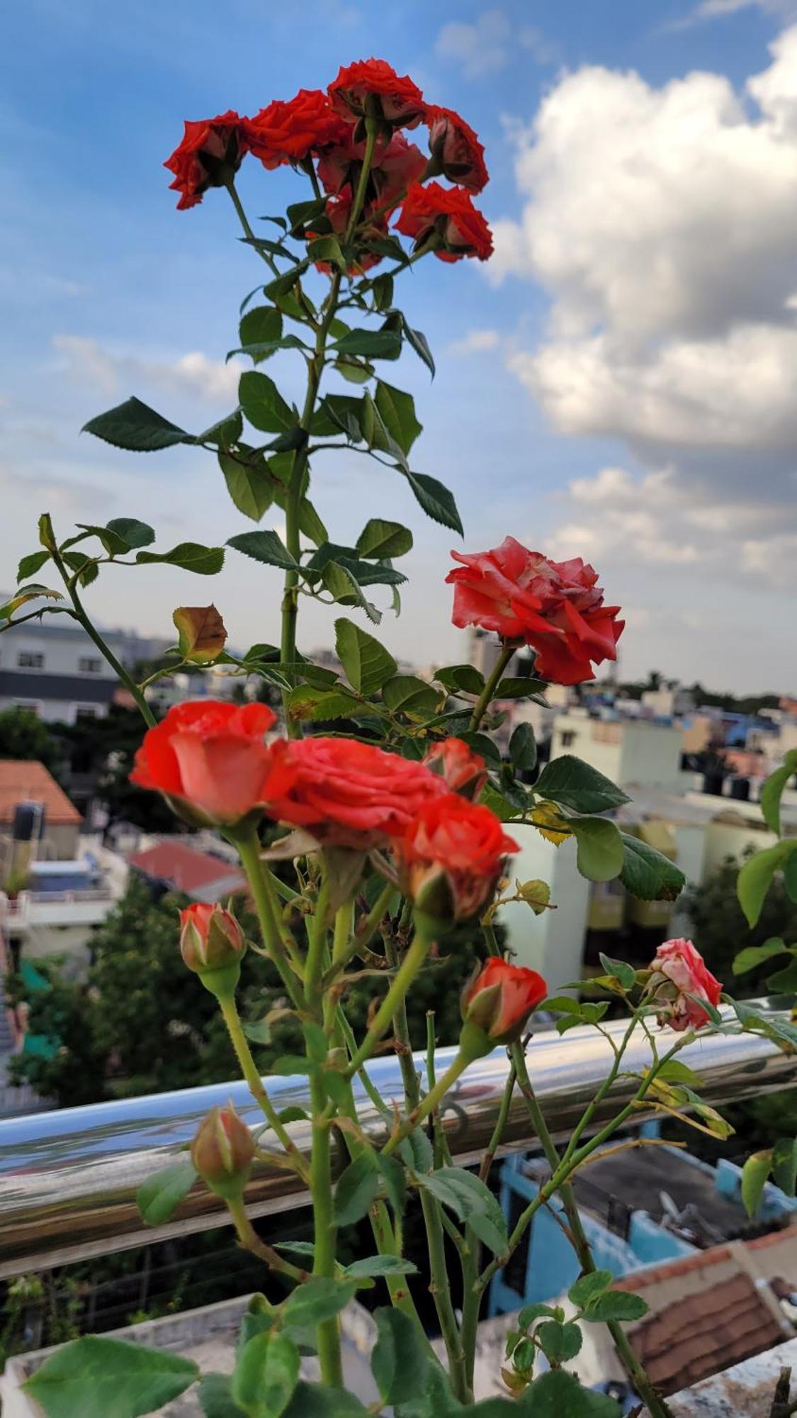 Rvr Home - Beautiful Rooms Bangalore Ngoại thất bức ảnh